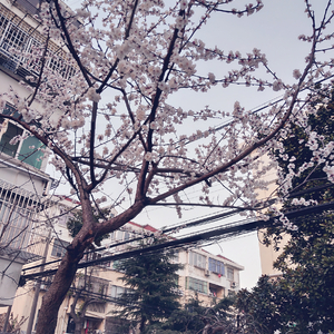 《俄罗斯天体餐厅》
